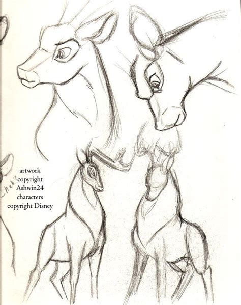 Sketchbook_Disney_Deer_v4_by_Ashwin24.jpg (600×759) | Drawings, Disney concept art, Animal sketches