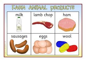 animals that give us food - Buscar con Google | Farm animals, Animal printables, Farm activities