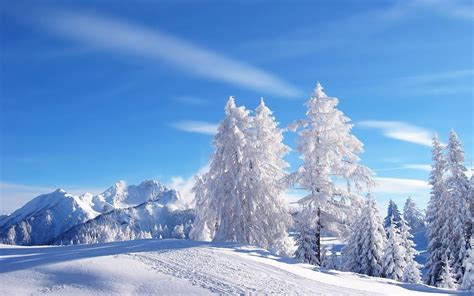 Winter Wonderland Wallpapers - Wallpaper Cave