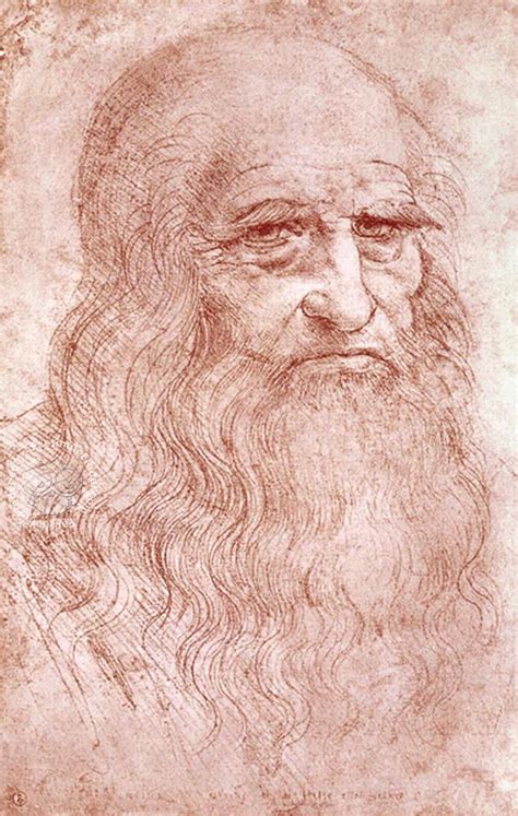 Leonardo Da Vinci Drawings