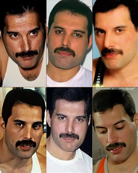 @freddie.mercury.bestof on Instagram: “Hi🌹🙂 Today is a mustache day 🔥🔥🔥 ...