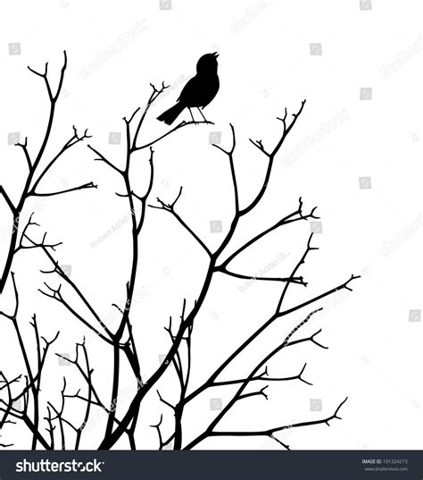 Editable Vector Silhouette Bird Singing Top Stock Vector (Royalty Free) 191324273 | Shutterstock