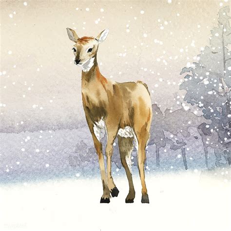Female deer painted by watercolor vector | free image by rawpixel.com | Deer painting, Bear ...