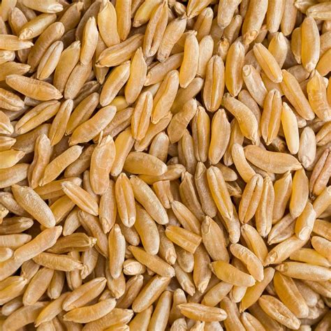 Khorasan Wheat Recipes, Storage, and Cooking Tips | Naturally Ella