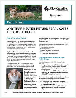 Why Trap-Neuter-Return Feral Cats and What is TNR? | Alley Cat Allies