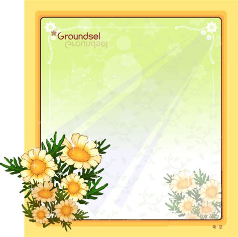 Groundsel flower frame vector | Free download