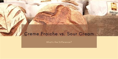 Creme Fraiche vs. Sour Cream: What's the Difference? | Blog | Commercial Refrigerators