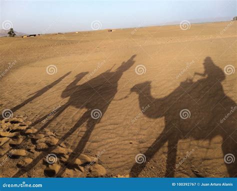 Camel shadows stock image. Image of shadow, casting - 100392767