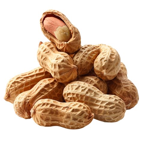 Peanuts on isolated transparent background 44273692 PNG