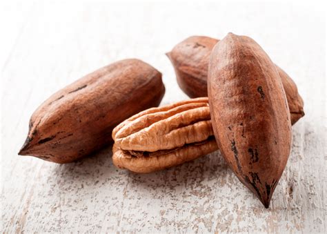 are pecans tree nuts - gerald-ortiz