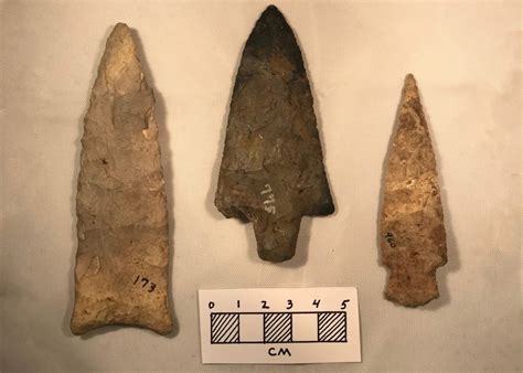 Prehistoric Stone Tools - Silver River Museum