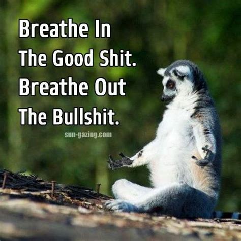 Funny Animal Memes, Animal Quotes, Funny Animals, Funny Memes, Jokes, Sign Quotes, Wisdom Quotes ...