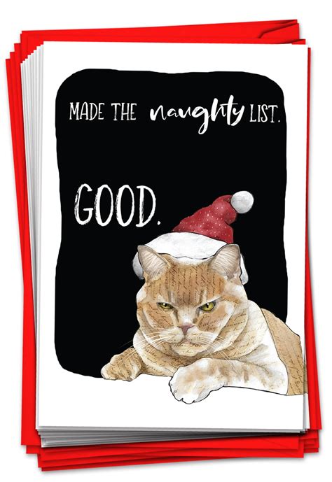 12 Funny Cat Christmas Cards - Bulk Boxed Set, Pet Cat in Santa Hat (1 ...