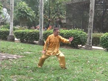 Video Clip Series: Twelve Animal-Forms of Xingyiquan