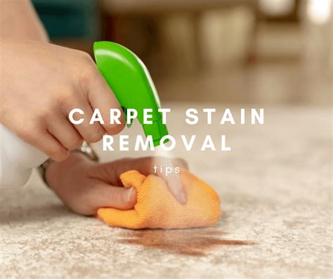 Carpet Stain Removal Tips - Chem-Dry of Greensboro