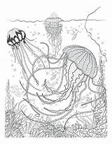 Underwater Coloring Pages To Print At GetColoringscom  Free Printable sketch template