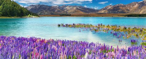 Lake Tekapo Elopement Wedding Packages | NZ Dream Weddings