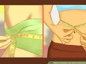 Waist-to-Hip Ratio: How to Calculate & 6 Abdominal Exercises to Make It ...