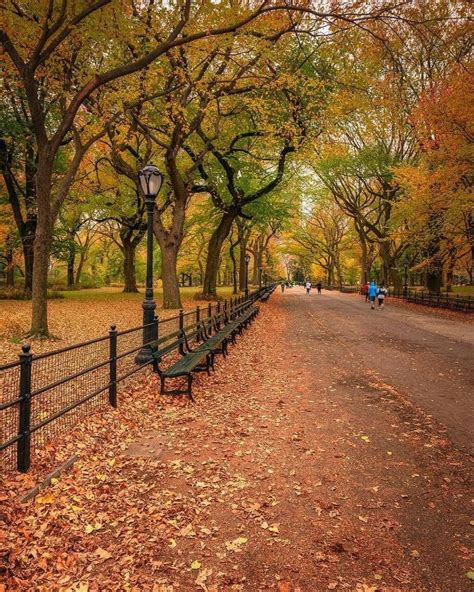 Central Park Mall, New York City