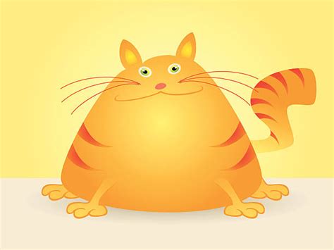 Royalty Free Fat Cat Clip Art Vector Images And Illustrations Istock | Free Hot Nude Porn Pic ...