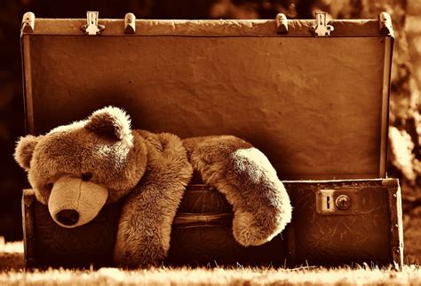 Free Images : leather, antique, mammal, junk, luggage, teddy bear ...