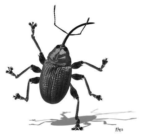 Digital Art Cockroach GIF by Colin Raff - Find & Share on GIPHY