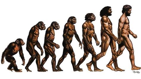 8 imágenes que resumen la evolución del ser humano in 2020 (With images ...