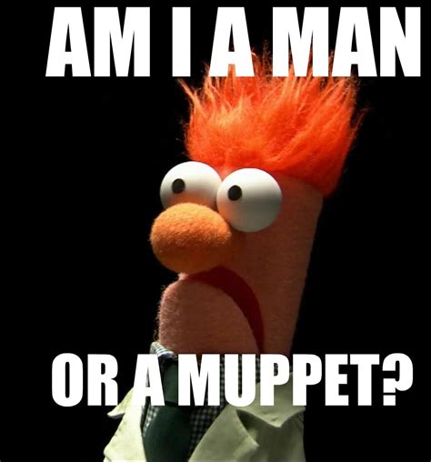 Muppets Memes