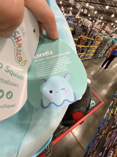 3 New Squishmallows at Costco | CostContessa