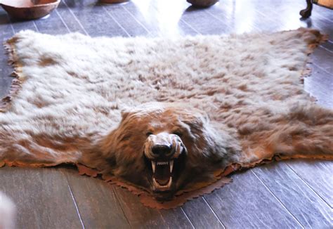 Wonderful Bear Skin Rug | Bear skin rug, Faux bear skin rug, Bear rug