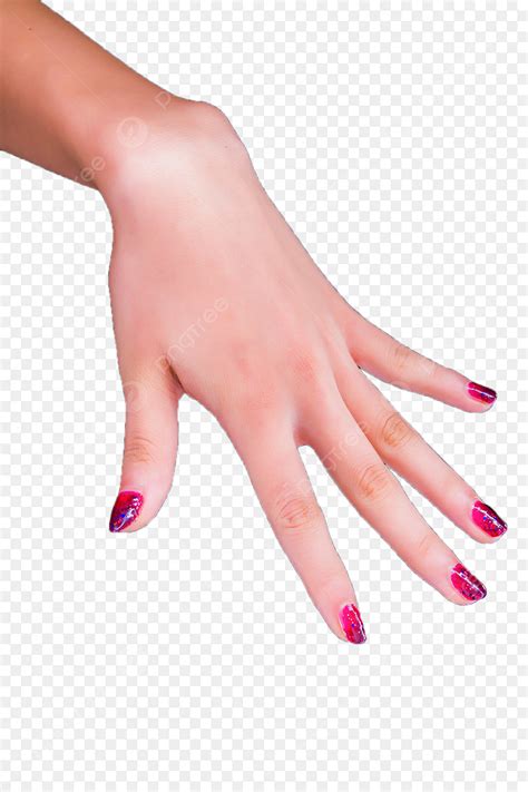 Imagens As Unhas De Vermelho PNG e Vetor, com Fundo Transparente Para ...