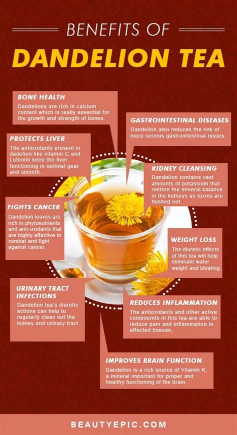 Health Benefits of Dandelion Tea | Nutrition recipes, Healthy teas ...