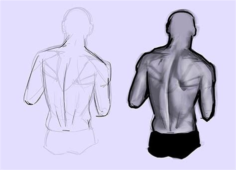 How to Draw the Human Back, a Step-by-Step Construction Guide – GVAAT'S ...