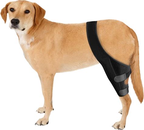 Amazon.com : JUANWAN Dog Knee Brace Leg Braces - Dog Canine Knee Stifle ...