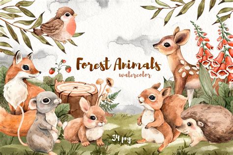 Watercolor Forest Little Animals set | Woodland illustration, Animal illustration, Watercolor ...