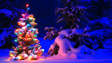 🔥 Download Lighted Christmas Tree In Winter Forest HD Wallpaper ...