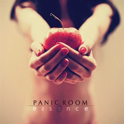 Panic Room – Song for Tomorrow Lyrics | Genius Lyrics