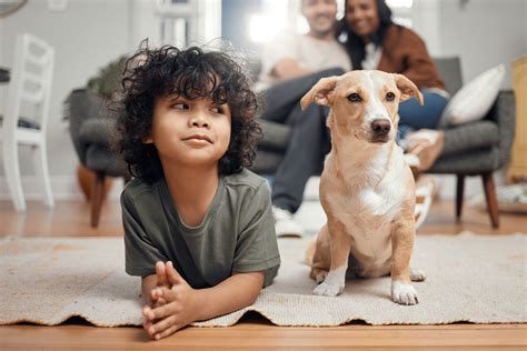 Tips to Avoid Rehoming a Pet When Your Child Has Asthma