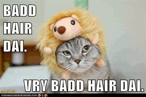 Grammar Catz: Grammar Cat #66: Bad-Hair-Day Cat