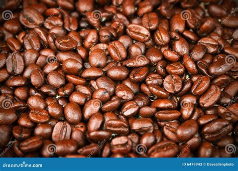 Fresh Roasted Coffee Beans, Espresso, Java Stock Image - Image of beans ...