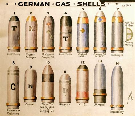 Today, 100 years ago, The Great War (World War 1) began - The Pub - Shroomery Message Board