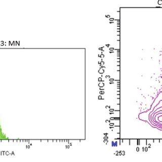 Fluorescein isothiocyanate (FITC)-A mean fluorescence intensity within ...