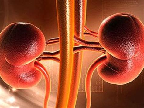 Chronic kidney disease may be overestimated in the elderly
