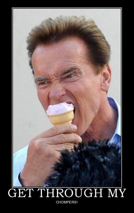 One Angry Ice Cream Face - Very Demotivational - Demotivational Posters | Very Demotivational ...