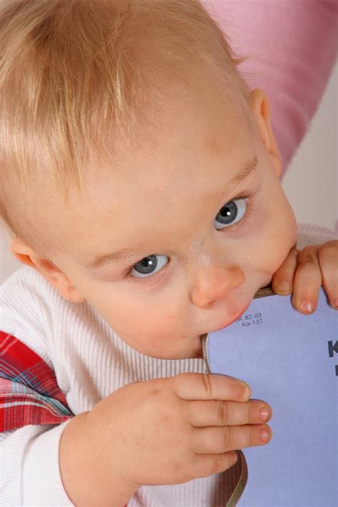 Kid eating books stock photo. Image of cute, white, face - 5556948