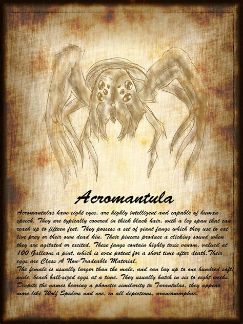 Acromantula by Aparas on DeviantArt