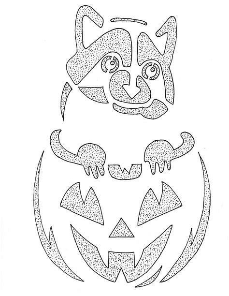 My attempt at the Raccoon in a Pumpkin pattern. : r/halloween