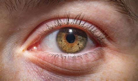 Close Up Shot of Woman Eye with Hazel Brown Eyes Stock Photo - Image of closeup, conceptual ...