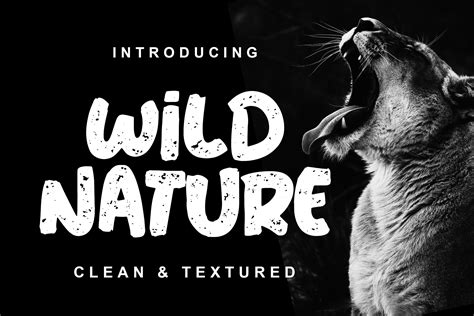 Wild Nature Font ~ Display Fonts ~ Creative Market