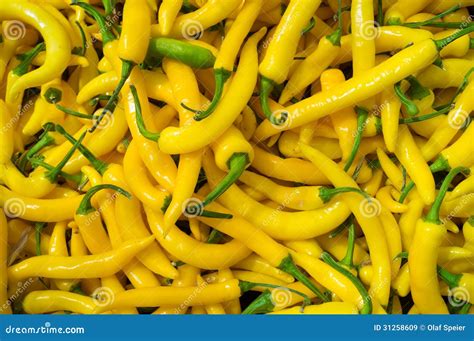 Hot yellow peppers stock image. Image of chili, fresh - 31258609